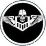 490th squadron winged skull